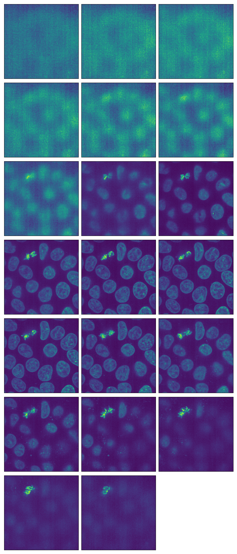 ../_images/ImageGrid-10.png