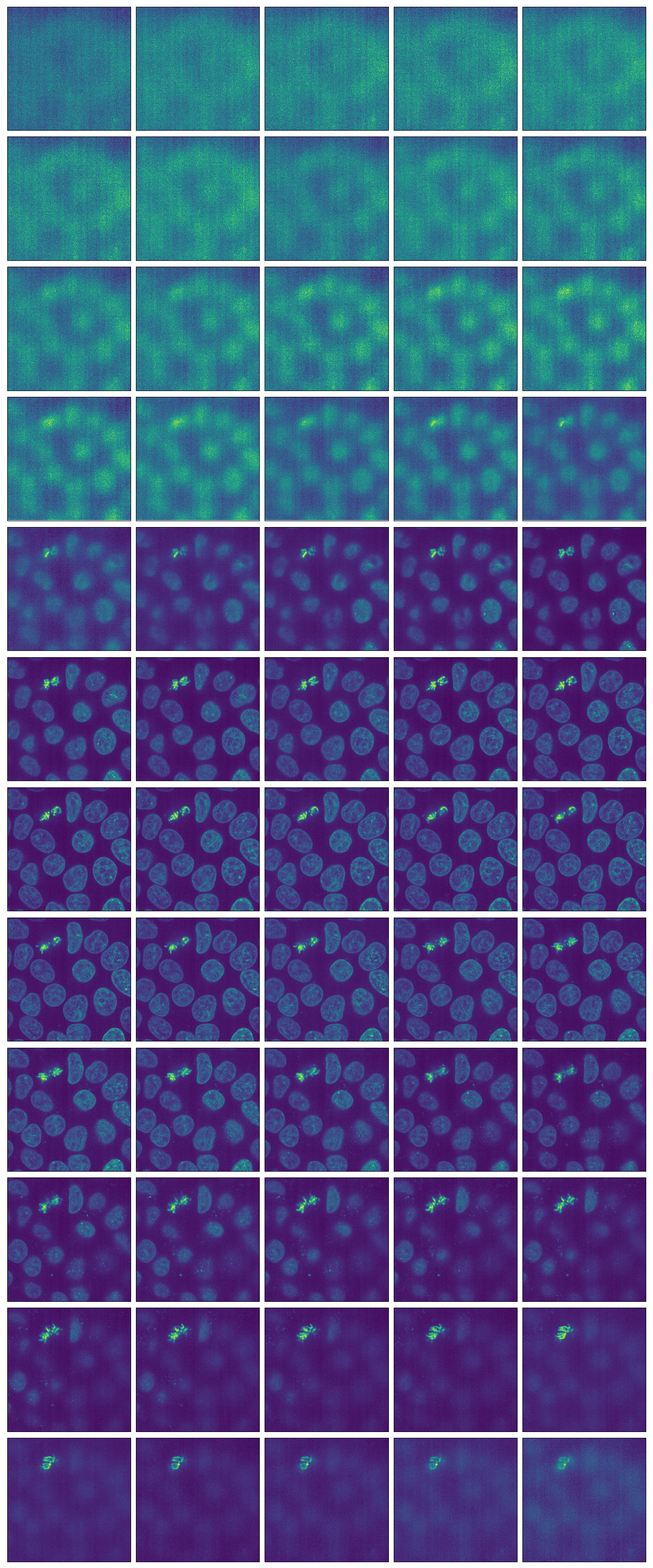 ../_images/ImageGrid-7.png