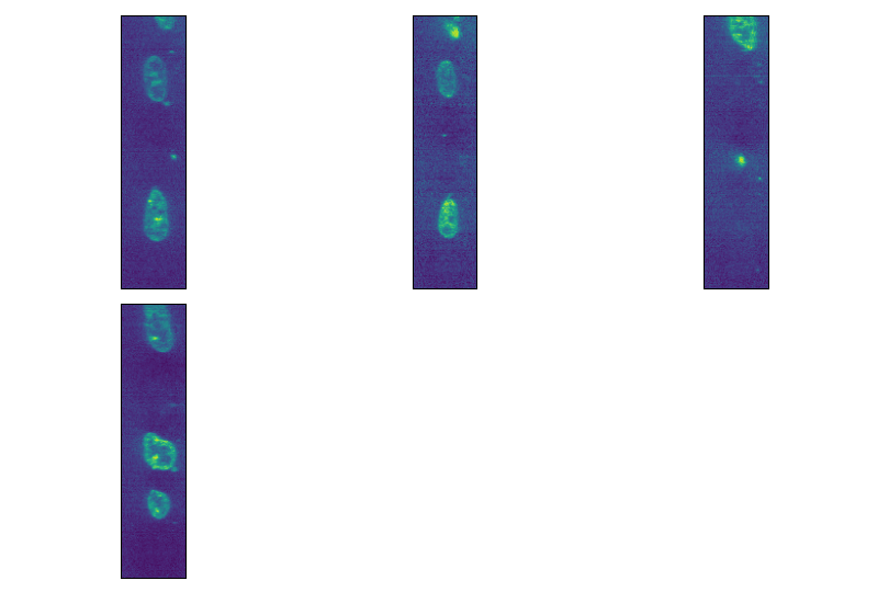 ../_images/ImageGrid-9.png