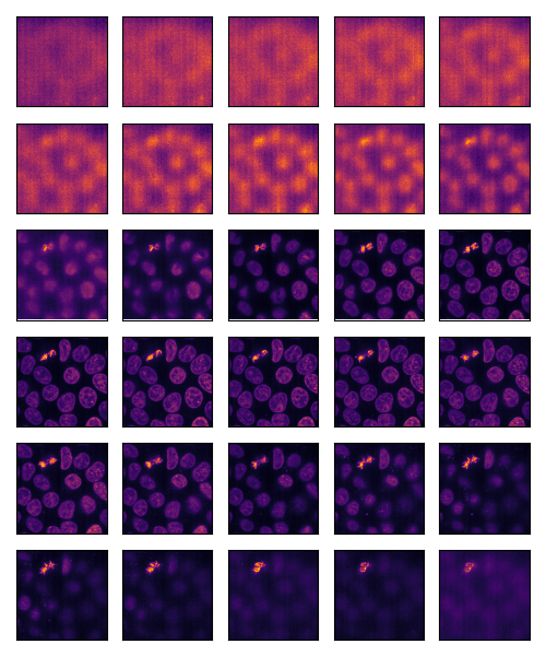 plot ImageGrid multi