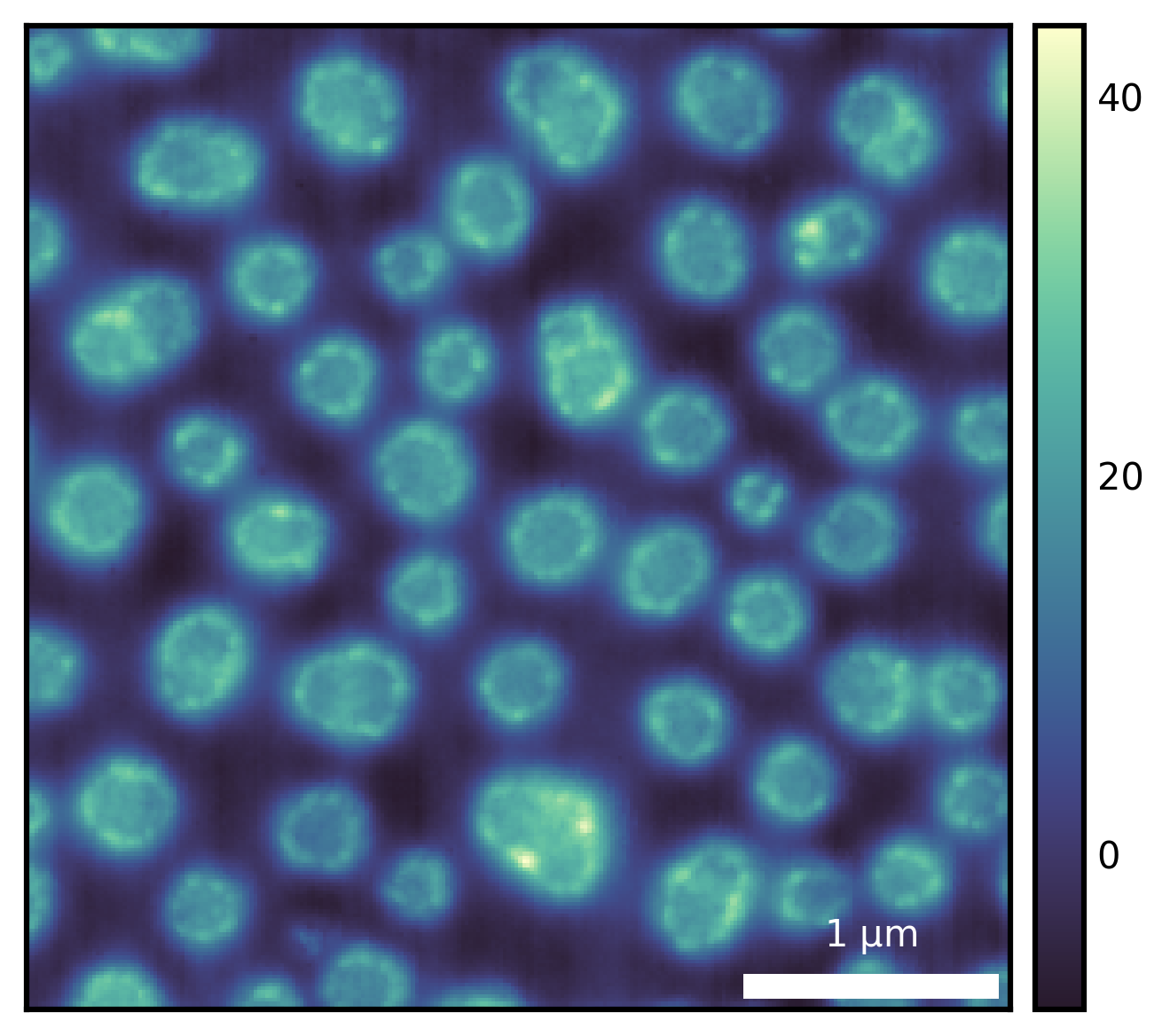 plot image